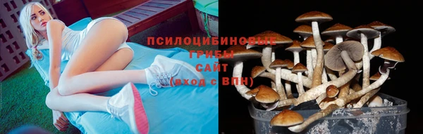jwh Богородицк