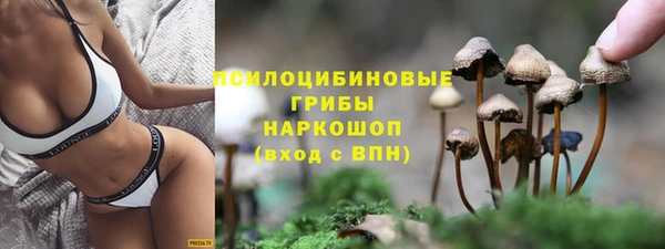 прущий лед Белокуриха