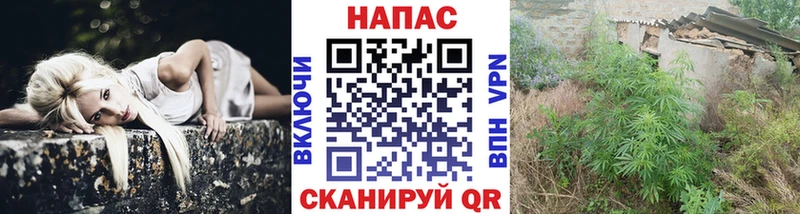 купить   Кушва  мега маркетплейс  Шишки марихуана White Widow 